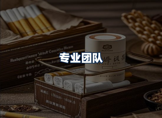 专业团队